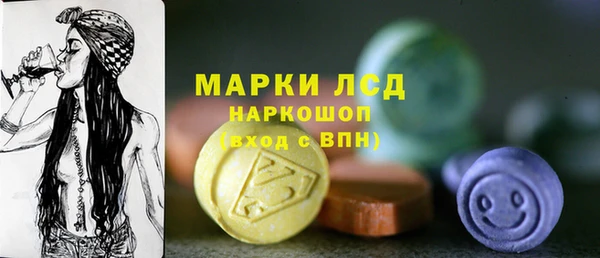 ПСИЛОЦИБИНОВЫЕ ГРИБЫ Абаза