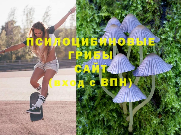 ПСИЛОЦИБИНОВЫЕ ГРИБЫ Абаза