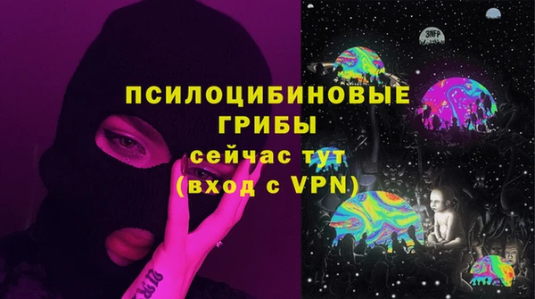 ПСИЛОЦИБИНОВЫЕ ГРИБЫ Абаза
