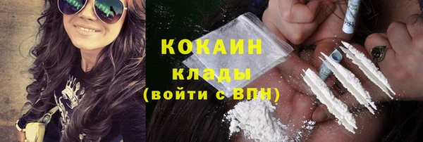 ПСИЛОЦИБИНОВЫЕ ГРИБЫ Абаза