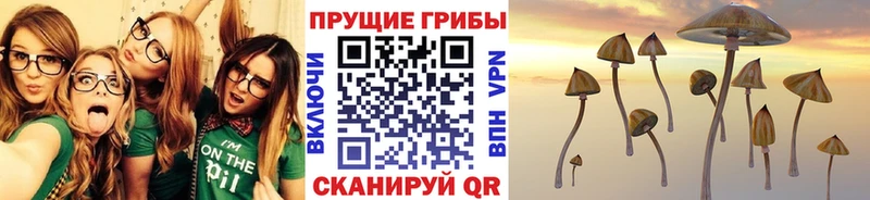 Псилоцибиновые грибы прущие грибы  Тбилисская 